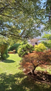 Freistehendes Einfamilienhaus mit großem Garten + Garage+ Gartenhaus – Bruchköbel-Niederissigheim
