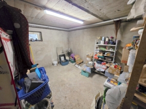 Freistehendes Einfamilienhaus mit großem Garten + Garage+ Gartenhaus – Bruchköbel-Niederissigheim