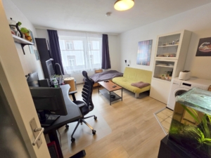 VERMIETET! Gemütliches, kleines 1 Zimmer-Apartment – mitten in Bornheim – Nähe Berger Straße