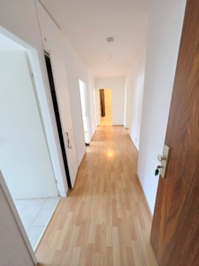 VERMIETET! Neu renoviert! Gemütliche, sonnige 3 Zimmerwohnung mit Balkon und Einbauküche- Sachsenhausen Süd