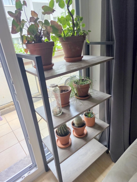 Sonnige 2 Zimmerwohnung mit Wohnküche + großem Balkon – Bornheim Grenze Ostend