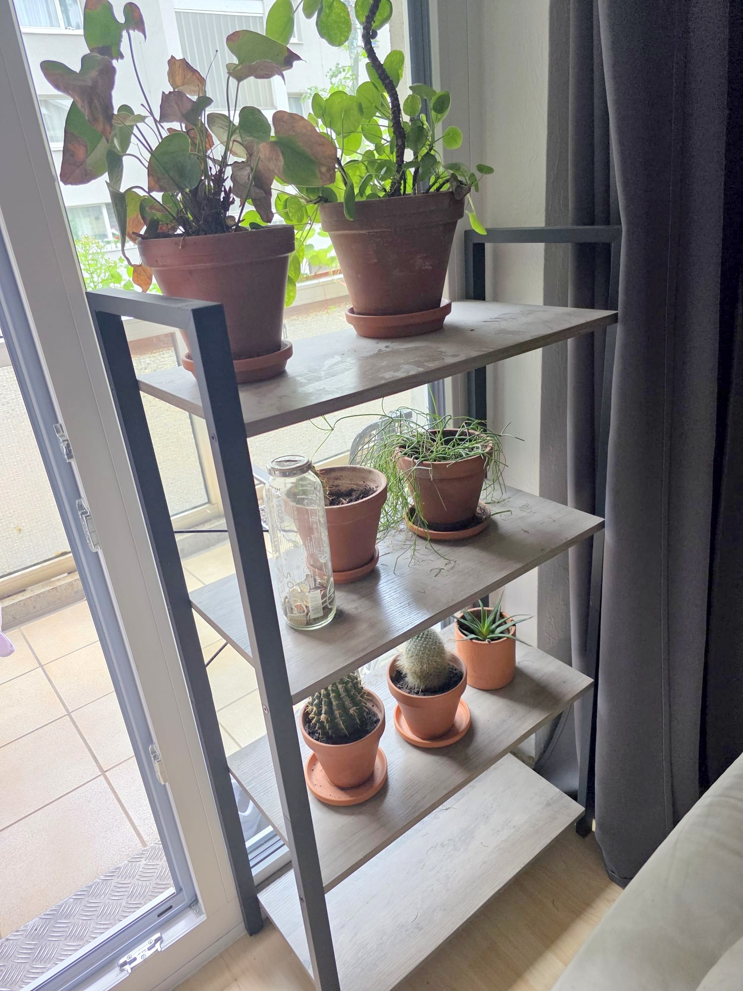 Sonnige 2 Zimmerwohnung mit Wohnküche + großem Balkon – Bornheim Grenze Ostend