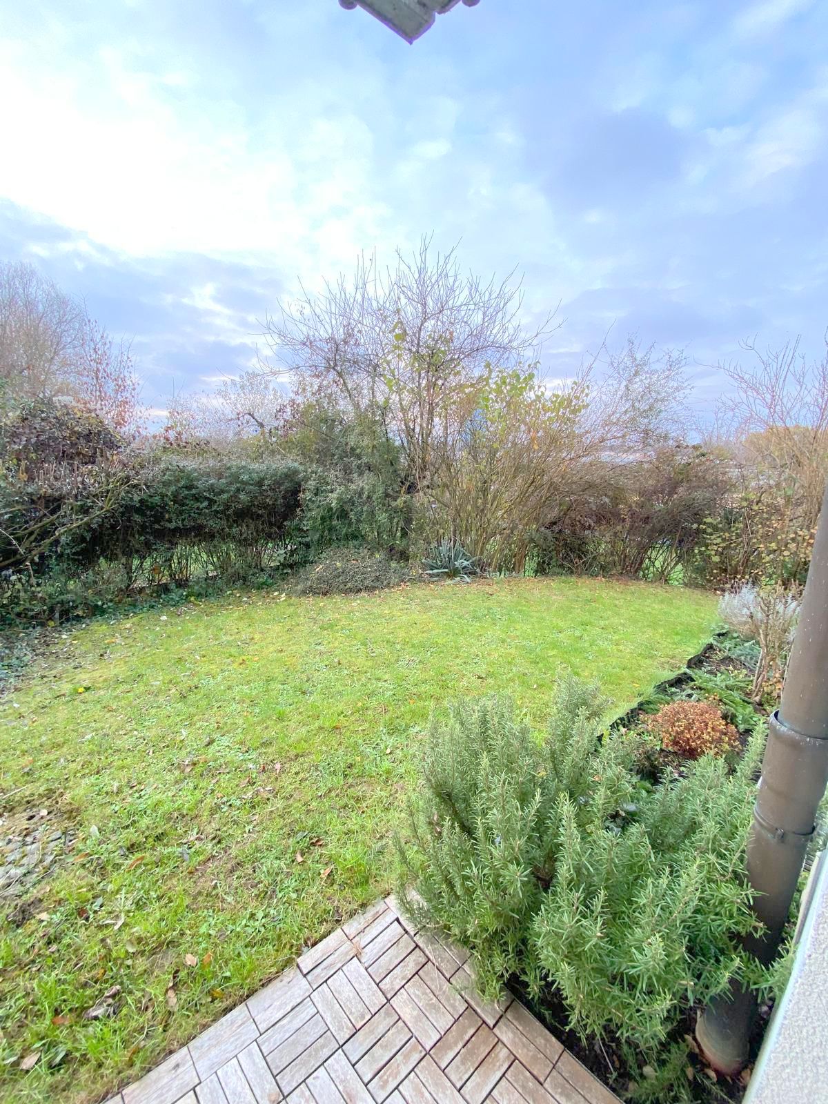 Hochwertige 3-Zimmer Gartenwohnung mit Terrasse + Einbauküche + Tiefgaragenplatz – ruhig in FFM-Oberad