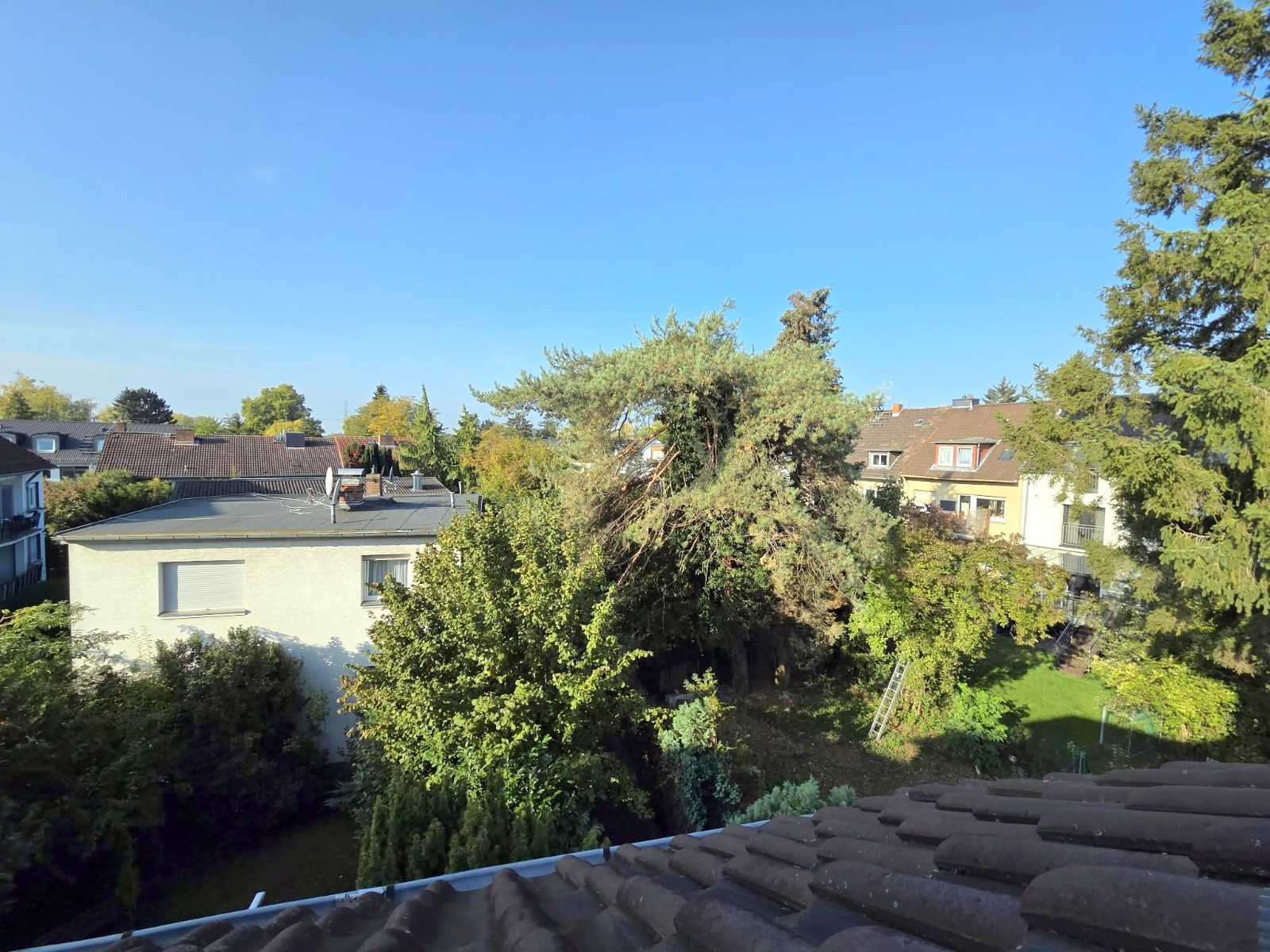 Neu Renoviert! Gemütliche 1 Zimmer Wohnung mit separater Küche inkl. Einbauküche – ruhig und zentral in Rödelheim